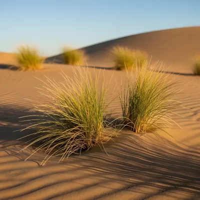 Imagen PNG para descargar